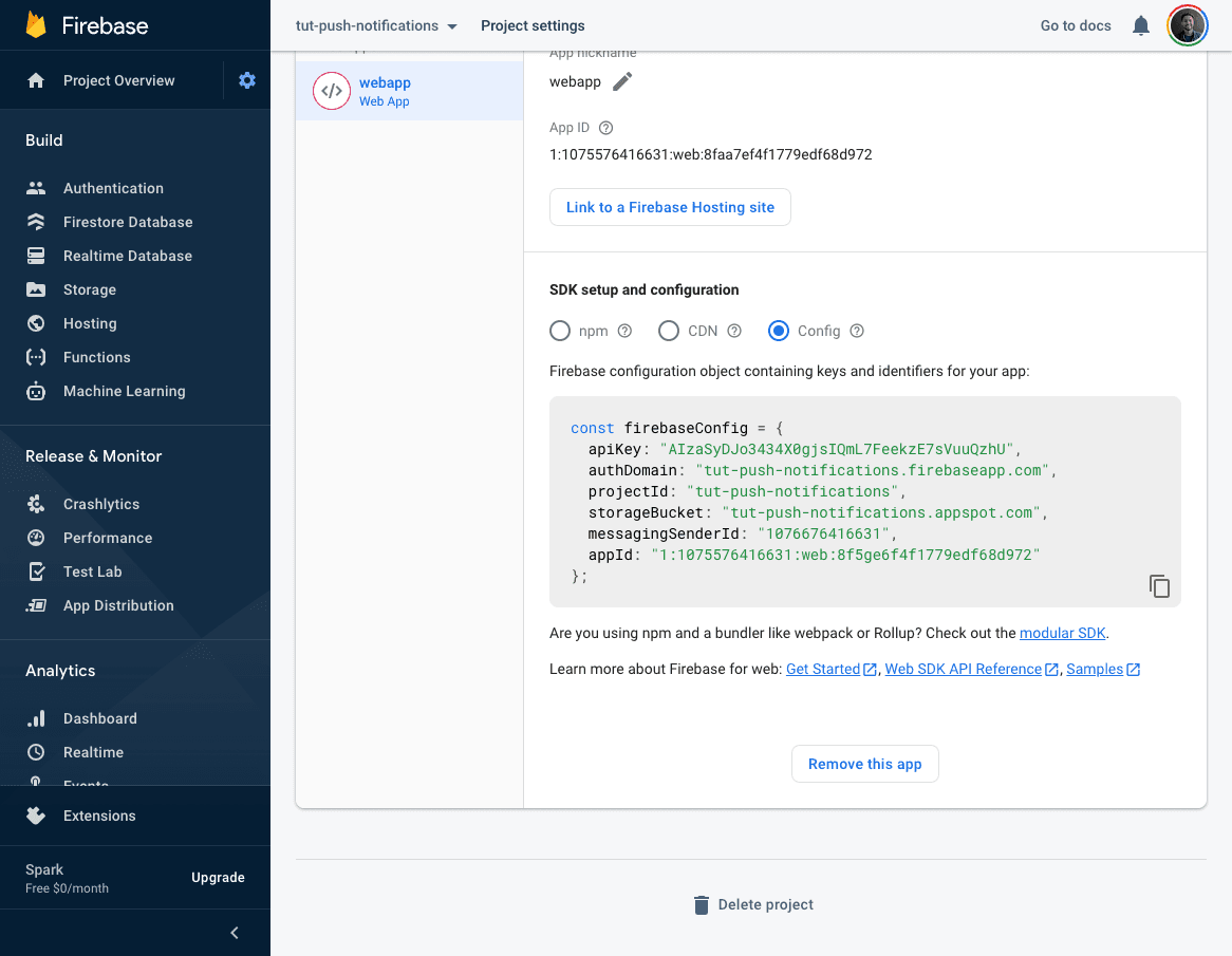 firebase config page